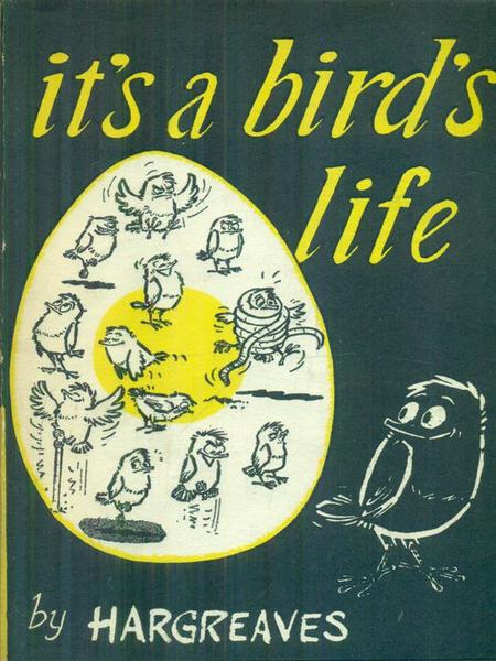 It's a bird's life