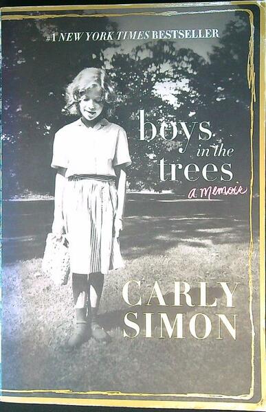 Boys in the Trees: A Memoir