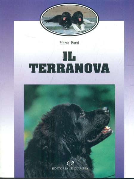 Il Terranova