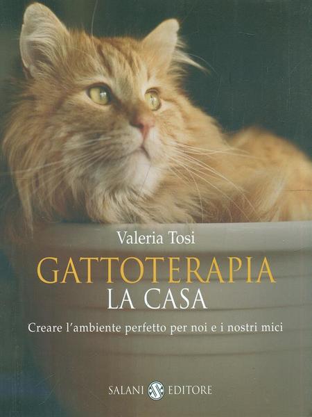 Gattoterapia - La casa