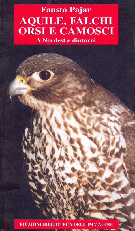 Aquile, falchi, orsi e camosci