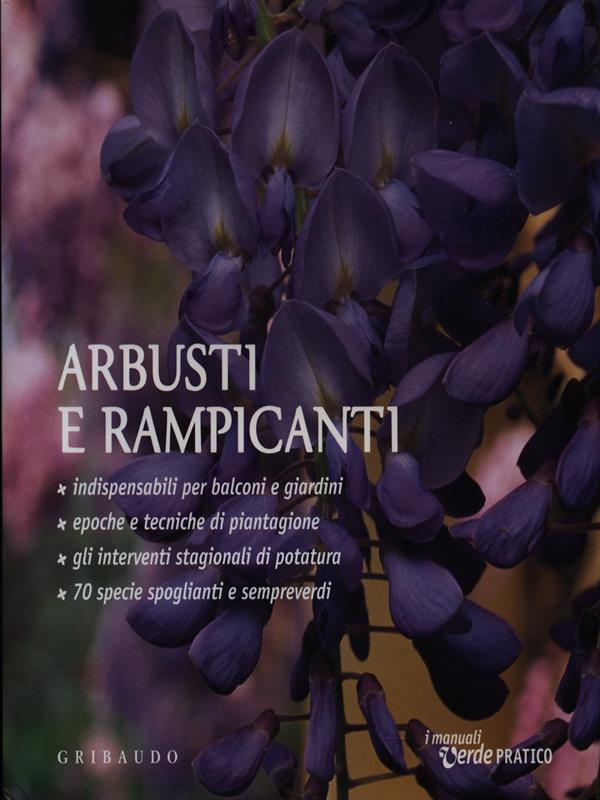 Arbusti e Rampicanti