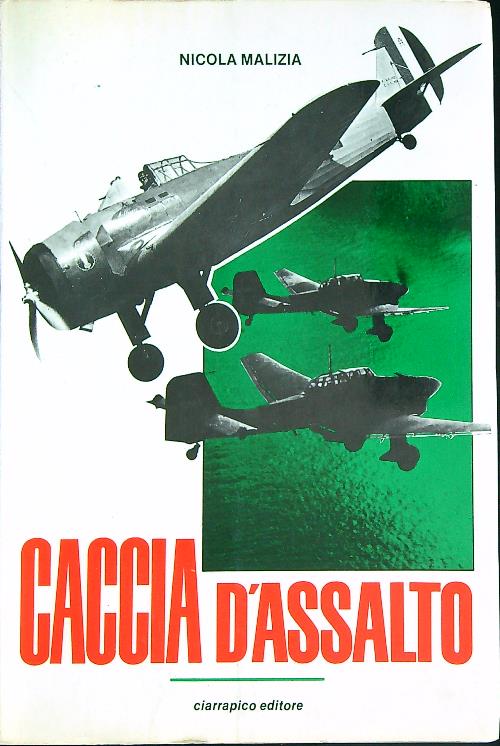 Caccia d'assalto