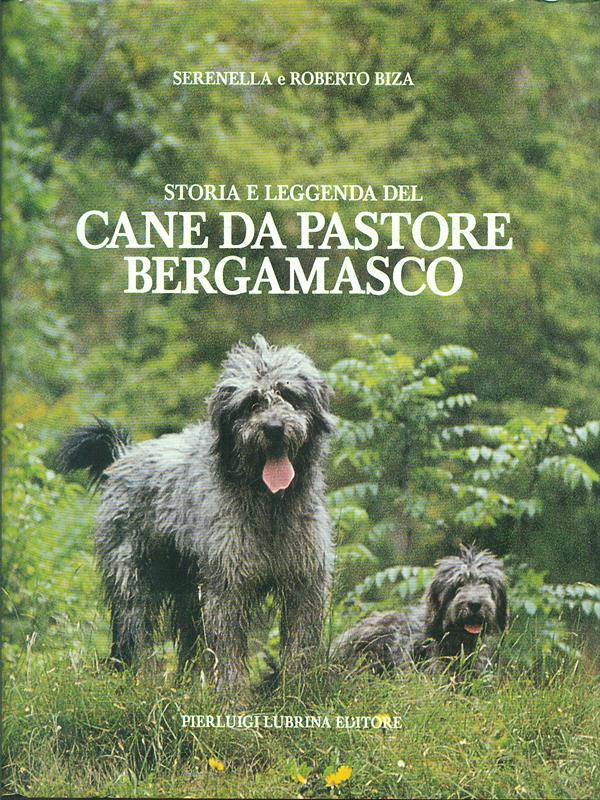 Cane da pastore bergamasco