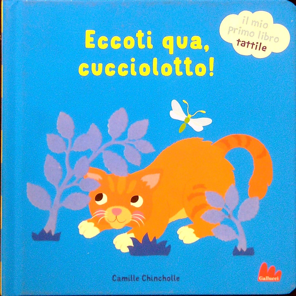 Eccoti qua, cucciolotto!