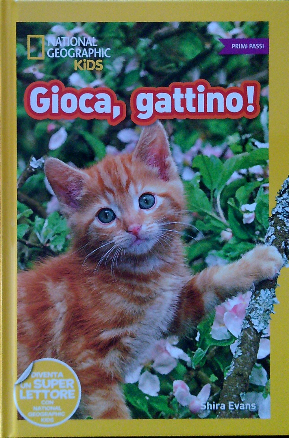 Gioca, gattino! Primi passi. Diventa un super lettore