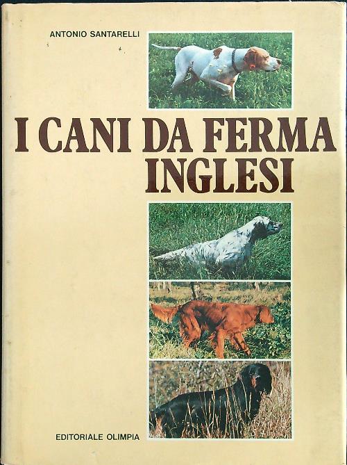 I cani da ferma inglesi