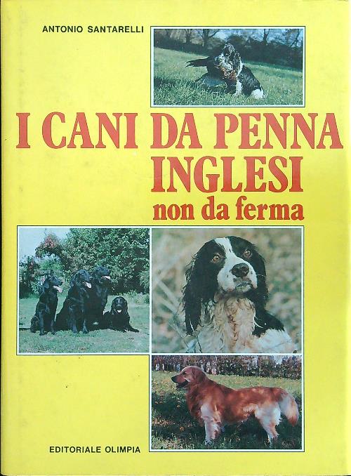 I cani da penna inglese