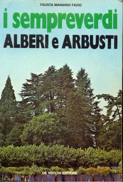 I sempreverdi: alberi e arbusti