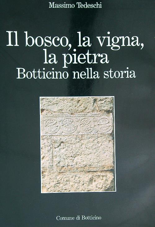 Il Bosco, La Vigna, La Pietra. Botticino Nella Storia