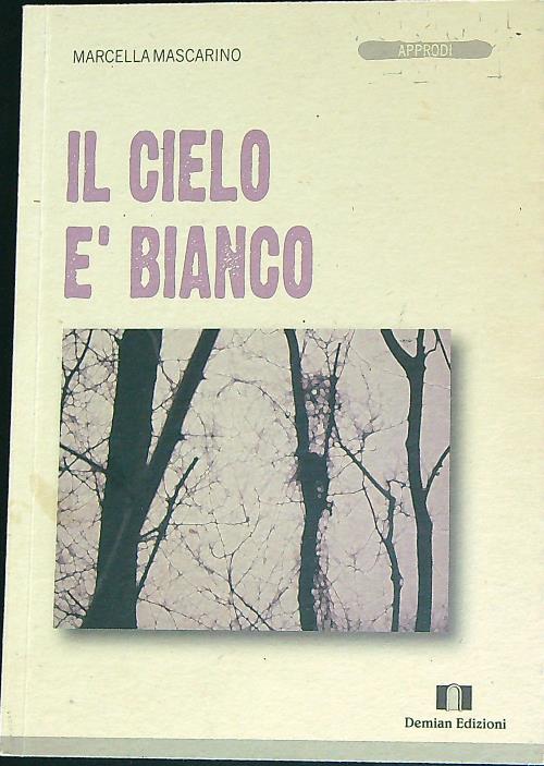 Il cielo e' bianco