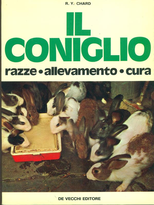 Il coniglio