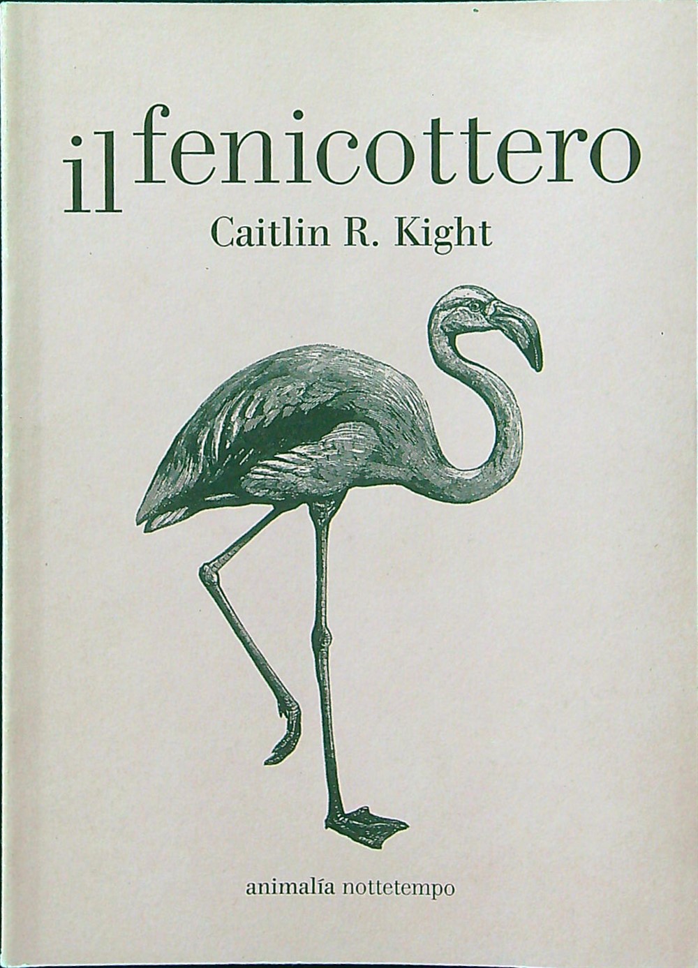 Il fenicottero
