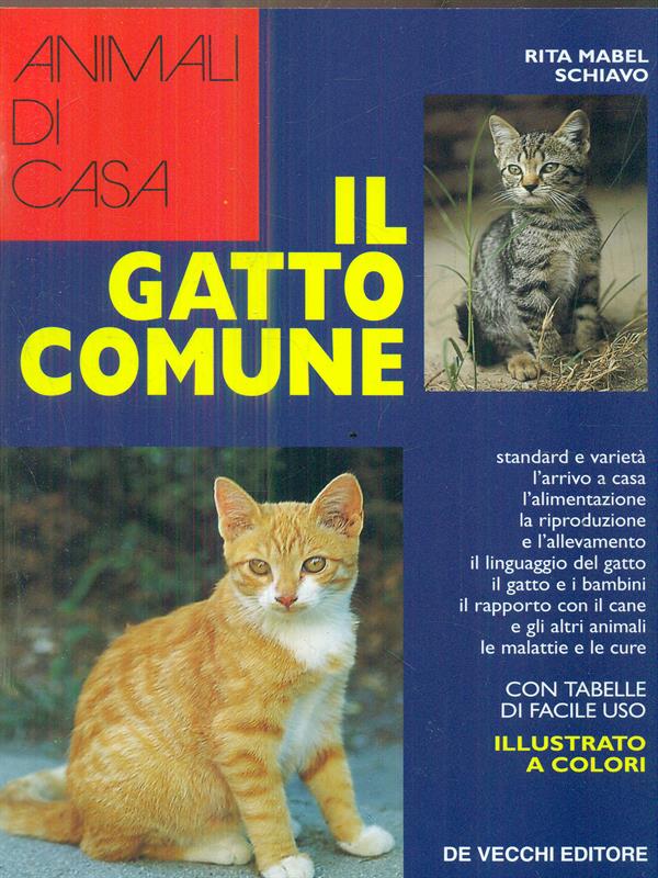 Il gatto comune