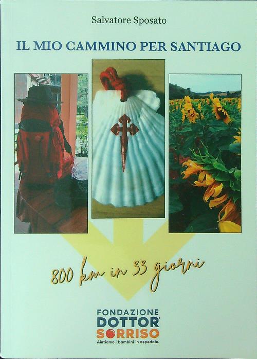 Il mio cammino per Santiago