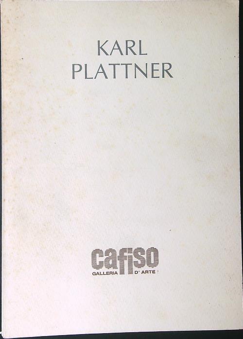 Karl Plattner