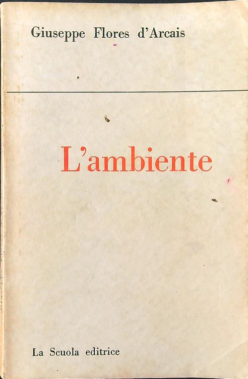 L'ambiente