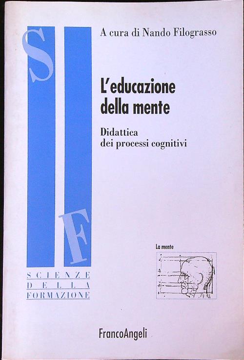 L'educazione della mente. Didattica dei processi cognitivi