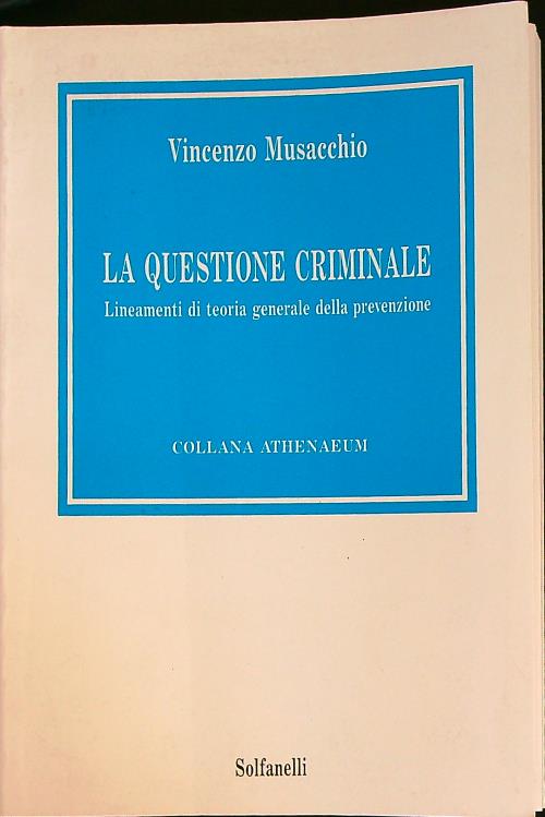 La questione criminale