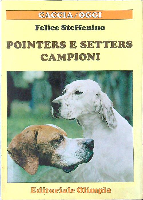 Pointers e Setters campioni