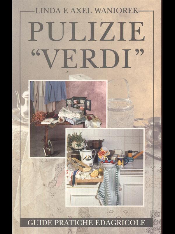 Pulizie Verdi