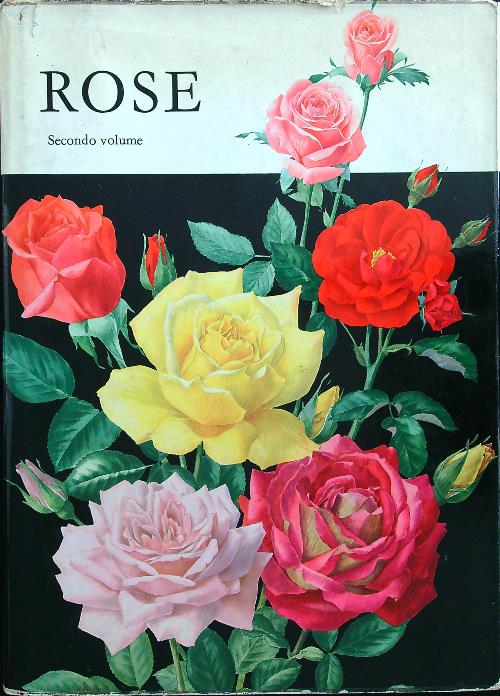 Rose secondo volume