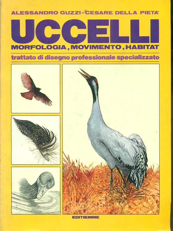 Uccelli : morfologia, movimento, habitat
