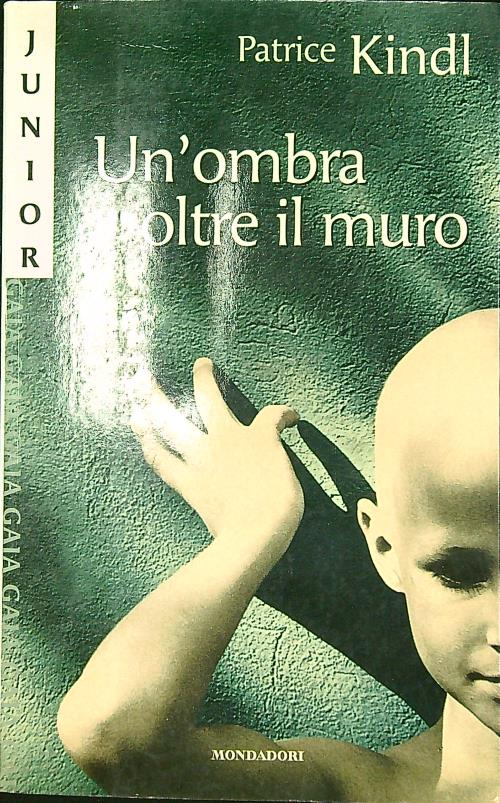 Un'ombra oltre il muro