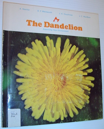 The Dandelion - Examining Your Environment