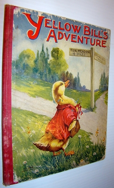 Yellow Bill's Adventure