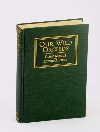 Our Wild Orchids - Trails and Portraits