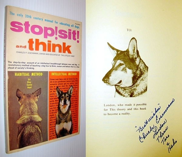 Stop! Sit! And Think