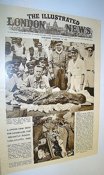The Illustrated London News (ILN) January 10, 1953 - Coelacanth …