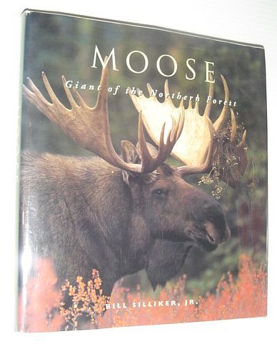 Moose : Giants of the Northern Forest