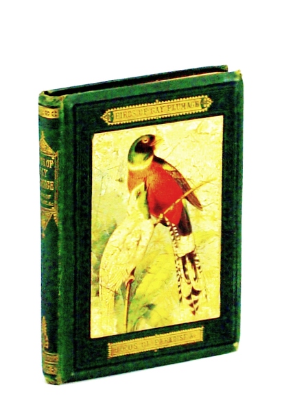 Birds of Gay Plumage: Birds of Paradise &c