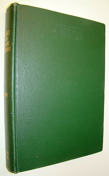 The Crosses and Culture of Ireland