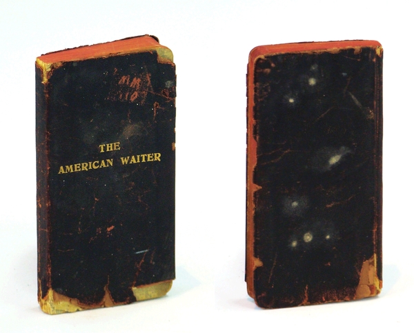 The American Waiter - Instructions in American and European Plan …