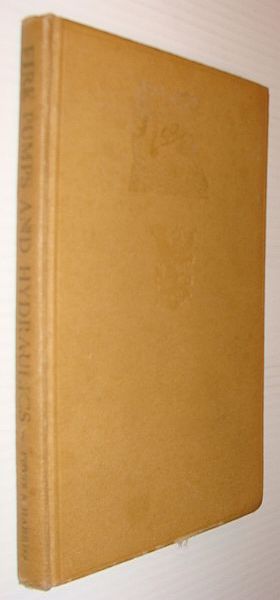 Fire Pumps and Hydraulics