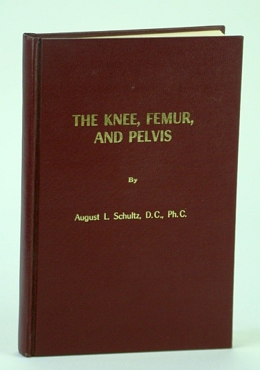 The Knee, Femur, and Pelvis - Written for the (Chiropractic) …