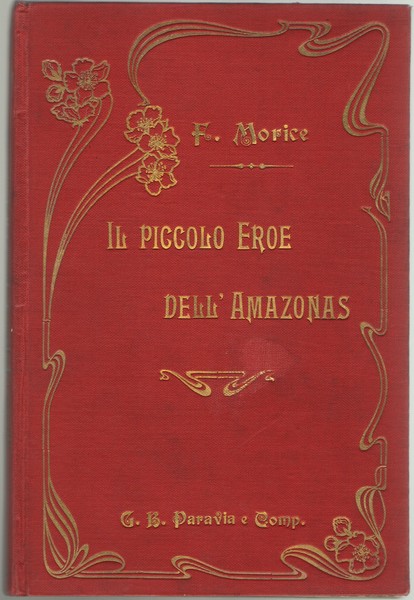 Il piccolo Eroe dell'Amazonas