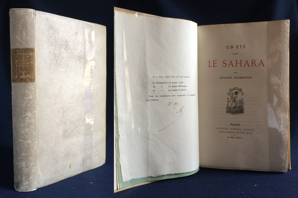 Un été dans le Sahara.