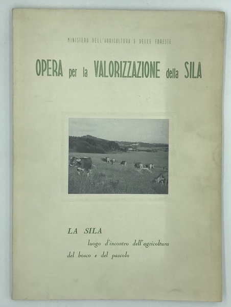 LA SILA luogo d'incontro dell'agricoltura, del bosco e del pascolo.