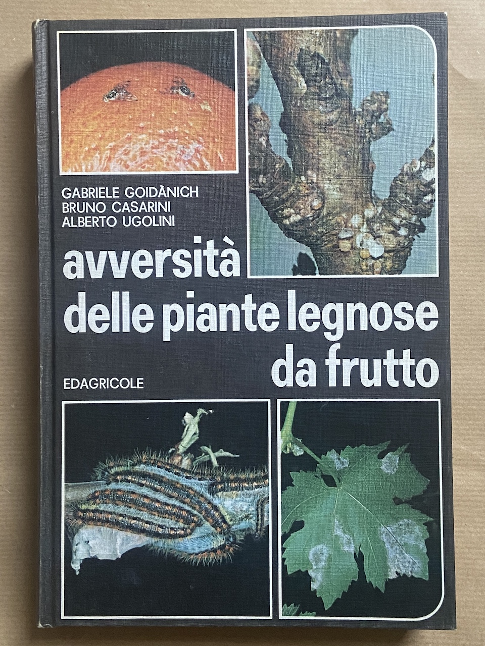 Avversità delle piante legnose da frutto. Pomacee, Drupacee, Vite, Olivo …