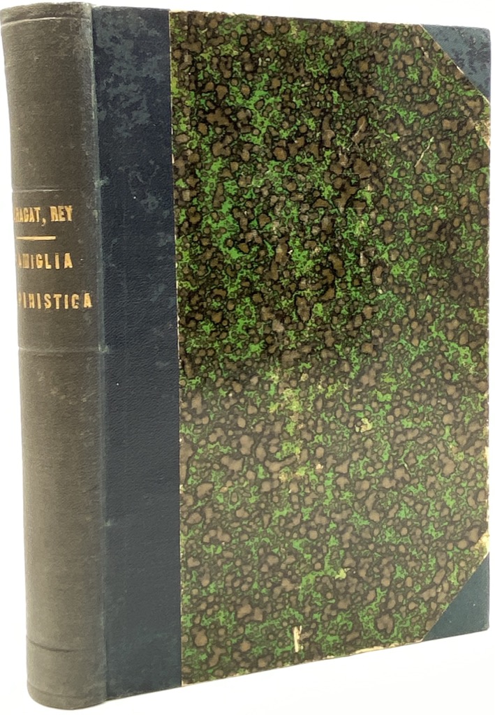 FAMIGLIA ALPINISTICA. TIPI E PAESAGGI.