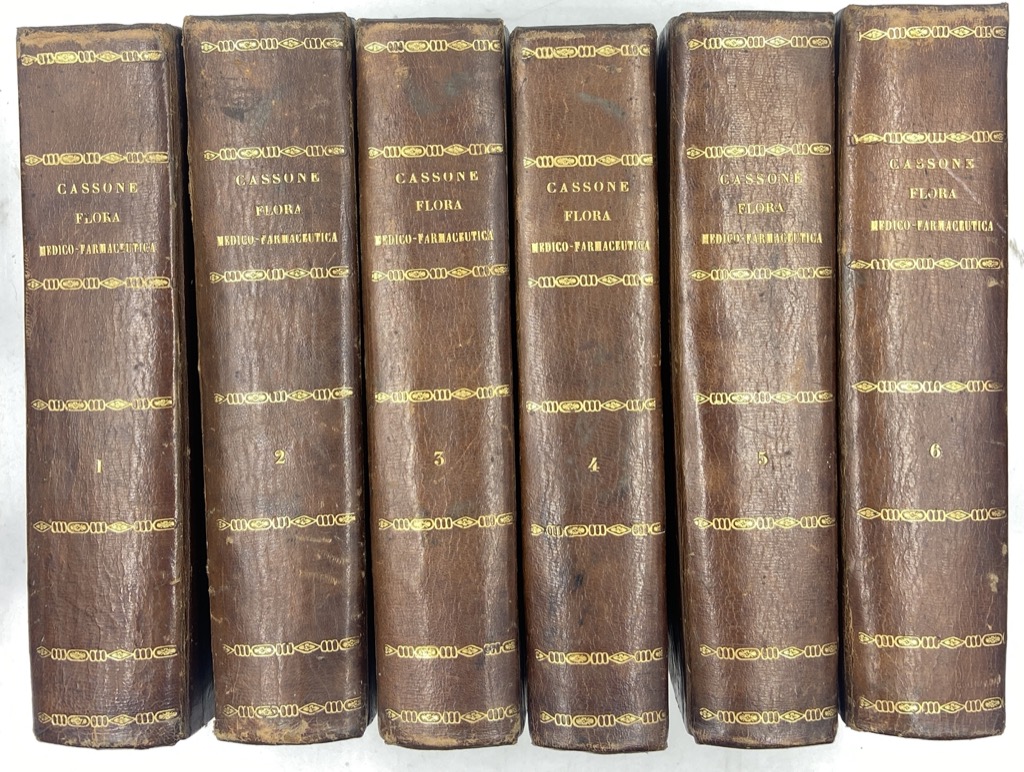 FLORA MEDICO-FARMACEUTICA COMPILATA DAL DOTTORE IN MEDICINA E CHIRURGIA FELICE …