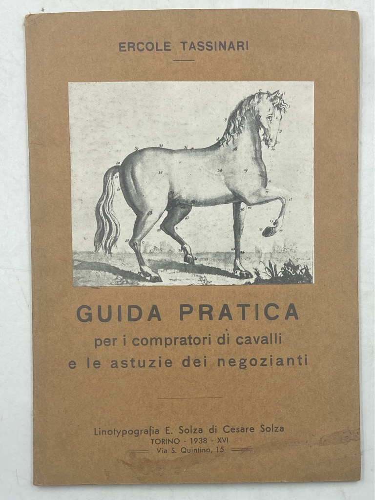 Guida pratica per i compratori di cavalli e le astuzie …