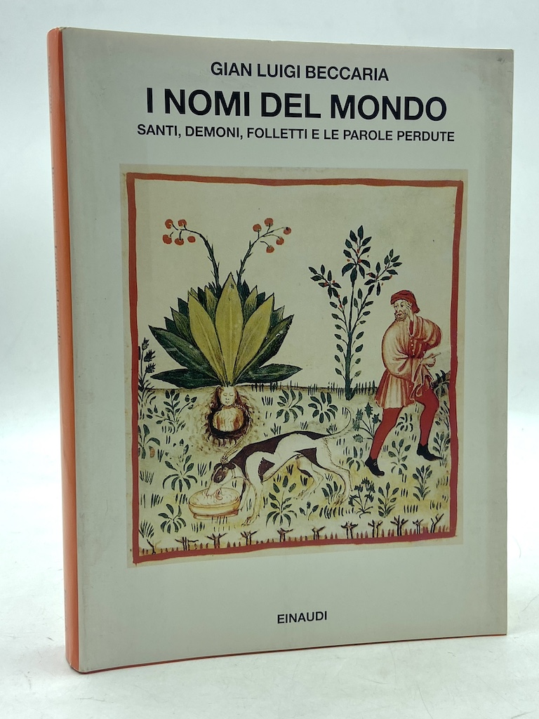 I nomi del mondo. Santi, demoni, folletti e le parole …