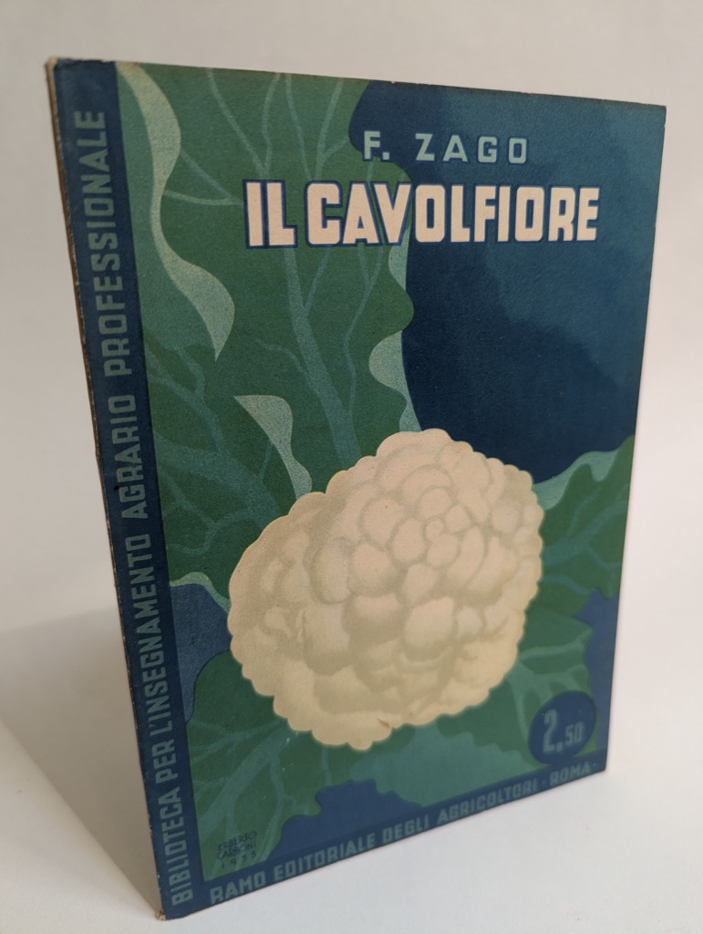 Il cavolfiore.