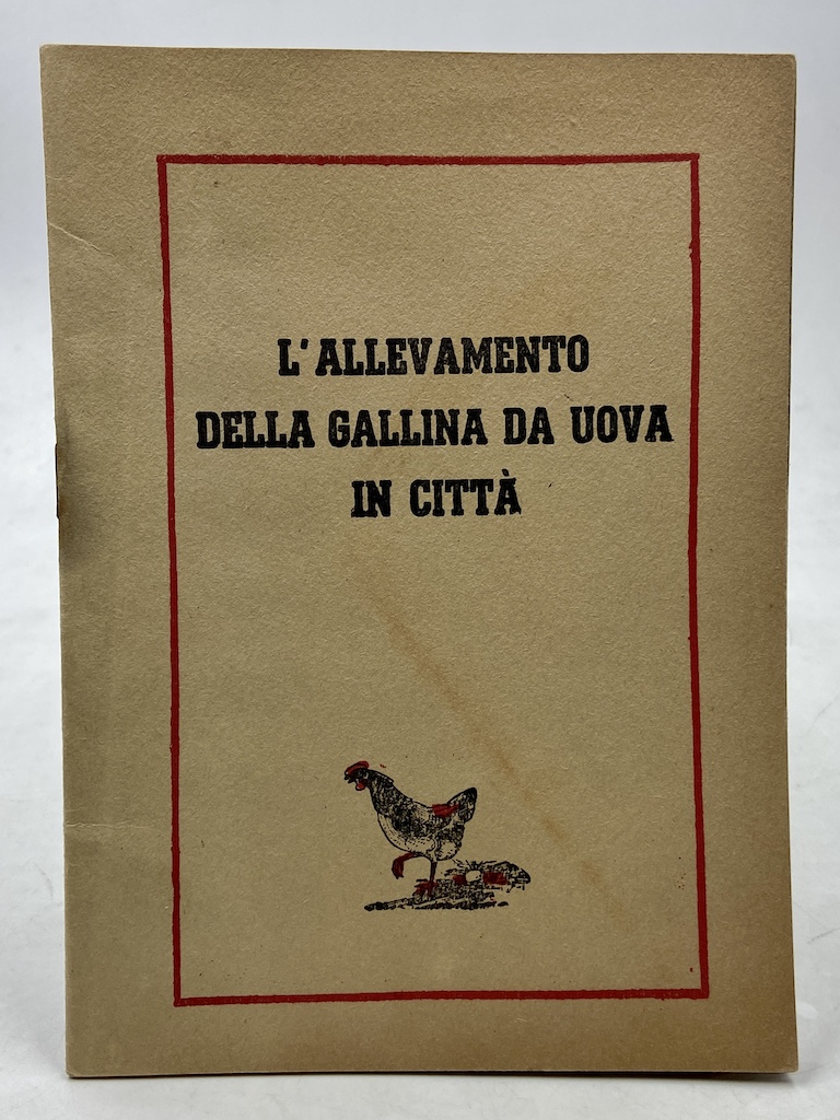 L’ALLEVAMENTO DELLA GALLINA DA UOVA IN CITTÀ.