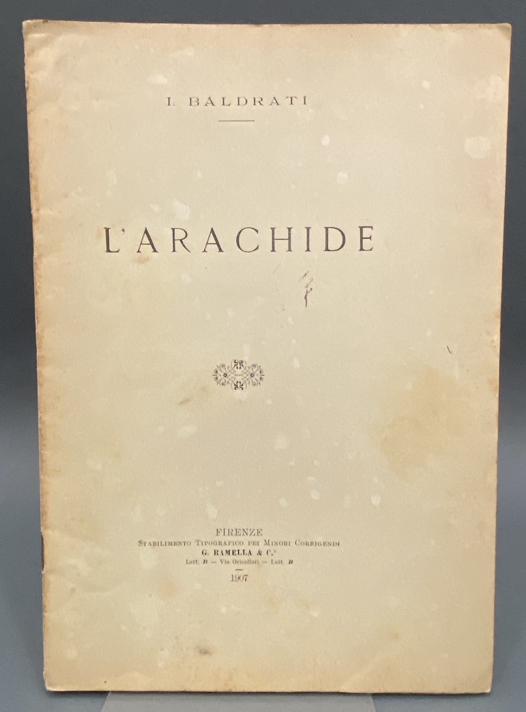 L’ARACHIDE.